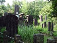 Overgrown Graves