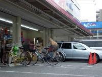 Dog on a Bike