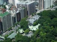 Shinjuku Park