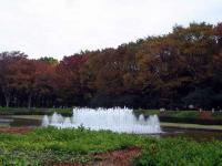 Fountain at Ueno Park