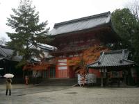 More Yasaka