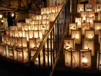 Lanterns at the Station