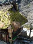 Restaurant Roof