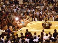 Tumbling Sumo