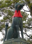 Fox at Fushimi Inari