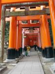 Fushimi Inari