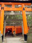 Fushimi Inari Paths