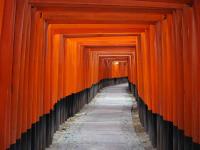 Tunnel of Torii at Fushimi Inari