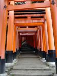 Vermillion Gates at fushimi inari