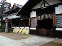 Umbrellas at Kitano Tenmangu