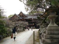 Walkway at Kitano