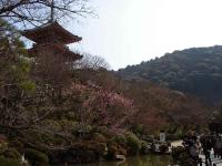 Kiyomizu Pond