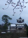 Kanazawa Castle and Cherry Buds