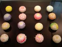 Candy Flower Balls