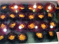 Fresh Uni (Sea Urchin)