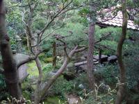 View of Garden