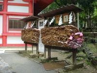 Kasuga Taisha Wishes