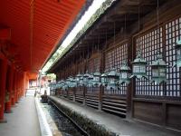 Kasuga Taisha Bronze Lanterns