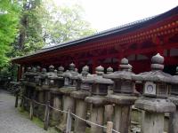 Kasuga Taisha Stone Lanterns