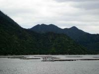 Oyster Floats