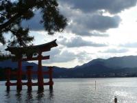 Itsukushima and Pine