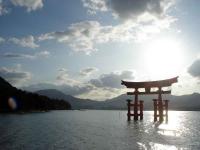 Itsukushima Jinja Tori