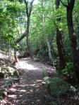 Path Up Mt. Misen