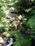 Toyota Gorge River