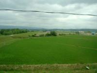 Fields in Hokkaido