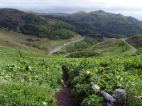 Path to Momoiwa Dake Viewing