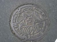 Rebun Island Manhole