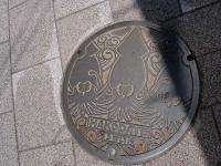 Hakodate Manhole