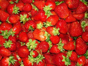 Fresh Strawberries